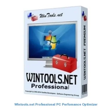 Wintools Professional PC Performans Optimize Edici Lisans Anahtarı