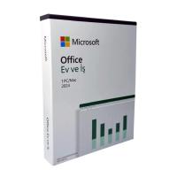 Microsoft Office 2024  Professional Plus Kutu BOX
