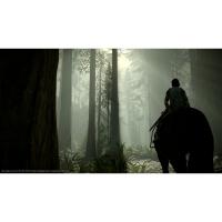SHADOW OF THE COLOSSUS PS4 PS5