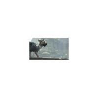 The Last Guardian PS4 PS5
