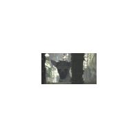 The Last Guardian PS4 PS5